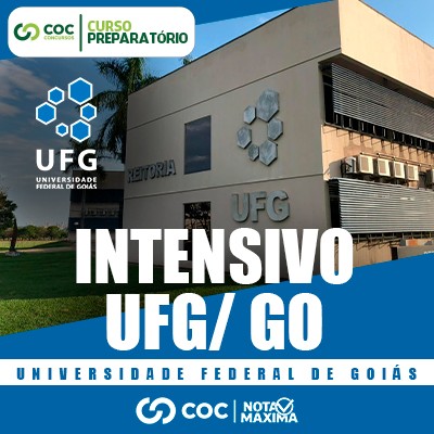 Prep. Intensivo Tcnico em Informtica - UFG/GO